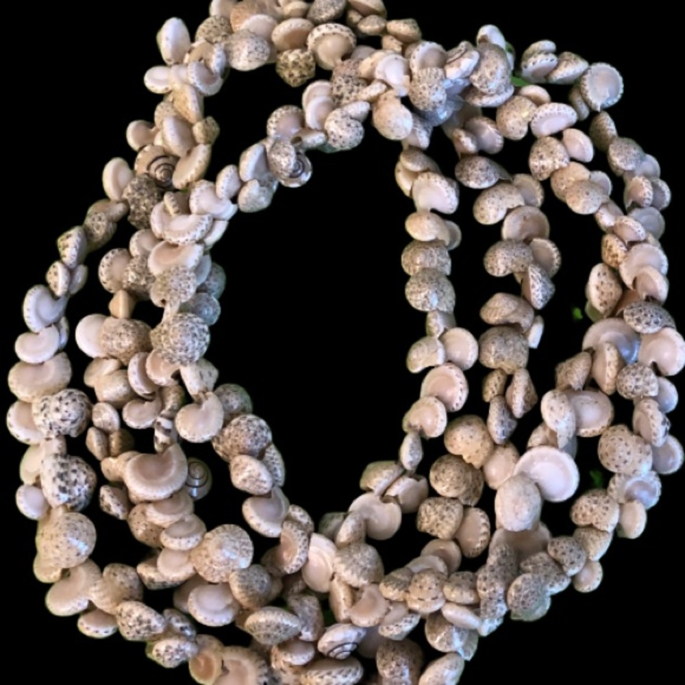 6 Seashell Necklaces Brown, White, Tan, Purple